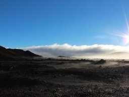 Vis et Lutz : Nos premiers visiteurs !